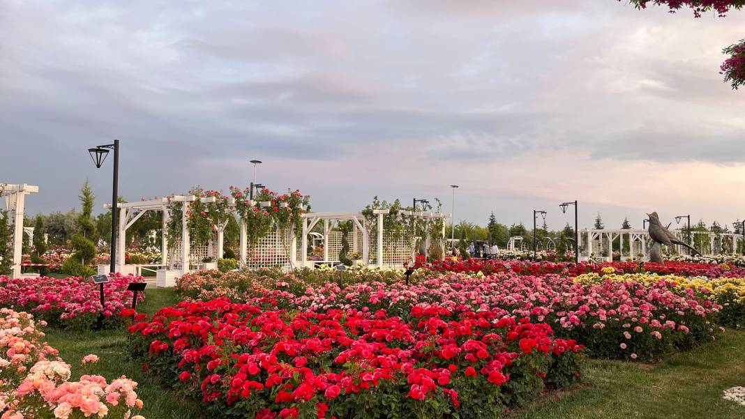 Konya’nın günbatımında masalsı manzara sunan parkı 37